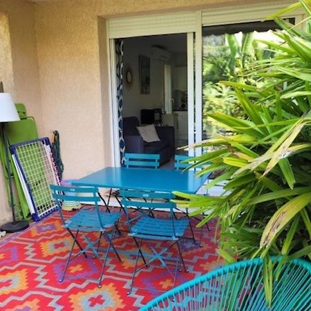 Nice Studio 30 M With Terrace And Pool أنتيب المظهر الخارجي الصورة
